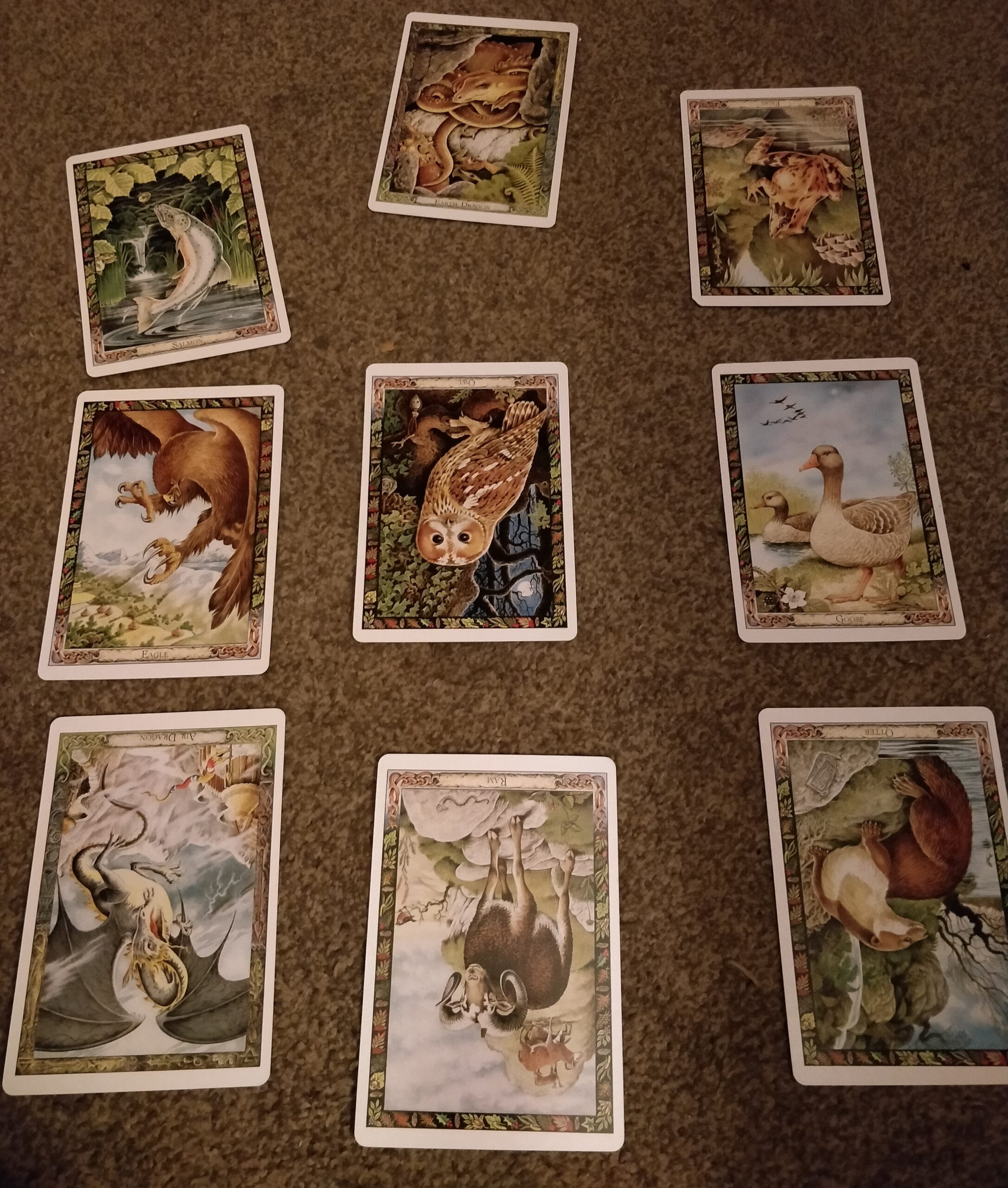 An oracle reading for the year described in the article