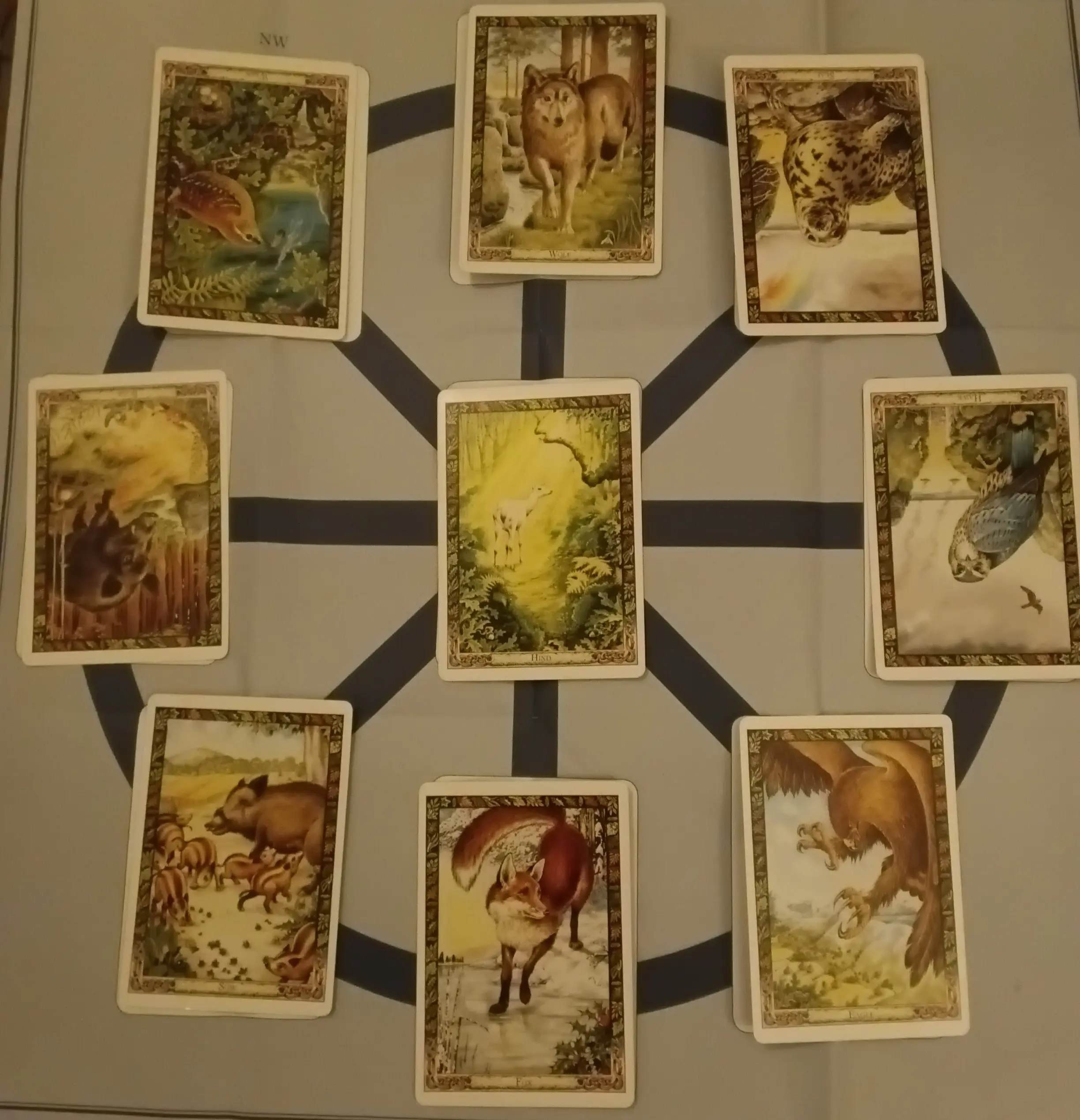 A photo of an Oracle reading using the Druid Animal Oracle