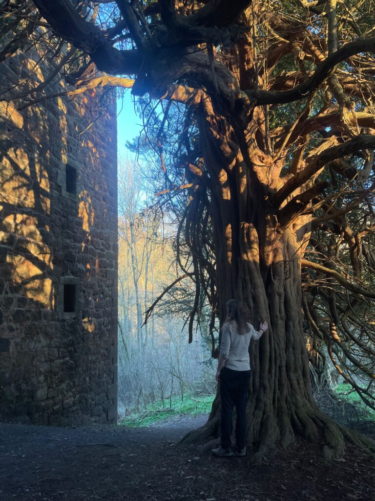 Me with a Yew Tree at Roslin Castle